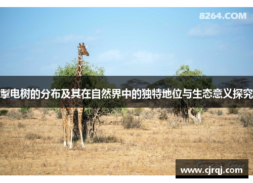 掣电树的分布及其在自然界中的独特地位与生态意义探究